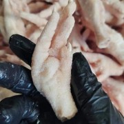 白俄凤爪