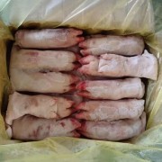 B蹄带筋