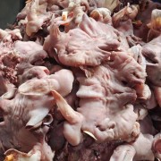 全熟羊头肉