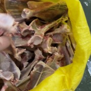 羊扇子骨