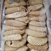 纯干金钱肚