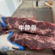 满肉牛脖骨