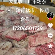 杂油饲料猪肺