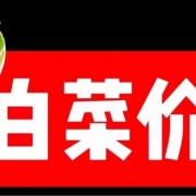 55厂牛椎骨
