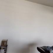 王伟测试
