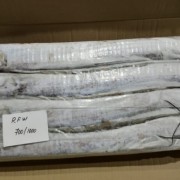 冻带鱼