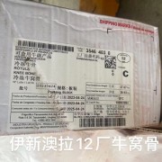 12厂牛窝骨