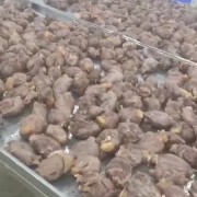 全熟牛腱子