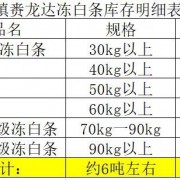 小猪冻白条