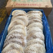 鹏鑫金钱肚