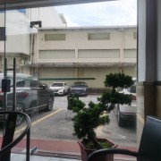 进口琵琶腿