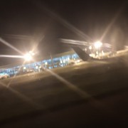 巴西凤爪