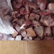 肘块粒