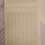 美国6504鸡翅