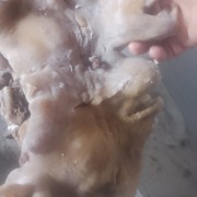 火燎全熟羊头