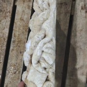 一级大肠