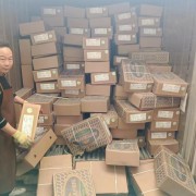 巴西1365肩峰