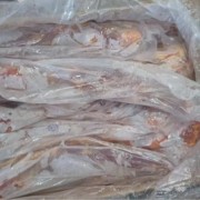 阿兰茨牛尾