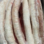 牛肺管