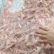 美国凤爪6666