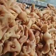 精品羊脸皮