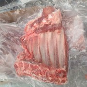 无颈前排 支持样