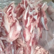 喉头丝 支持样品