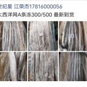 西非带鱼
