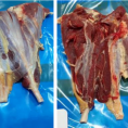 阿根廷后腱
