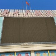 4407牛肚
