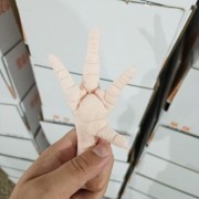 单冻特大纯干凤爪