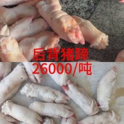 后背猪蹄
