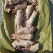 后背蹄
