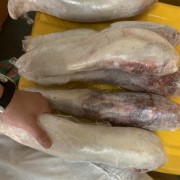 牛舌
