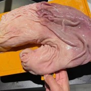 真空包装母猪肚