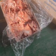 庞宝耳片