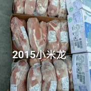 乌拉圭55厂前腱