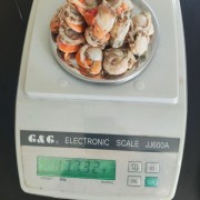 扇贝肉40-60