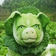 牧原C心