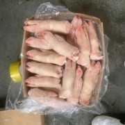 46491猪脚
