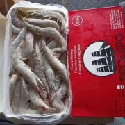 虾皇