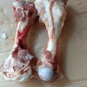 腿骨棒骨汤骨