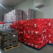 1293劲骨