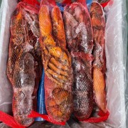 生冻波波