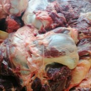 驴肉
