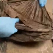 AA盐百叶