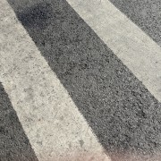 巴西2172翅中