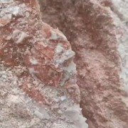 牛肉沫
