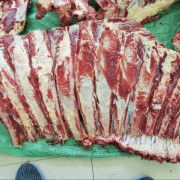 牛光排