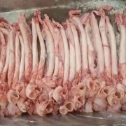 心管